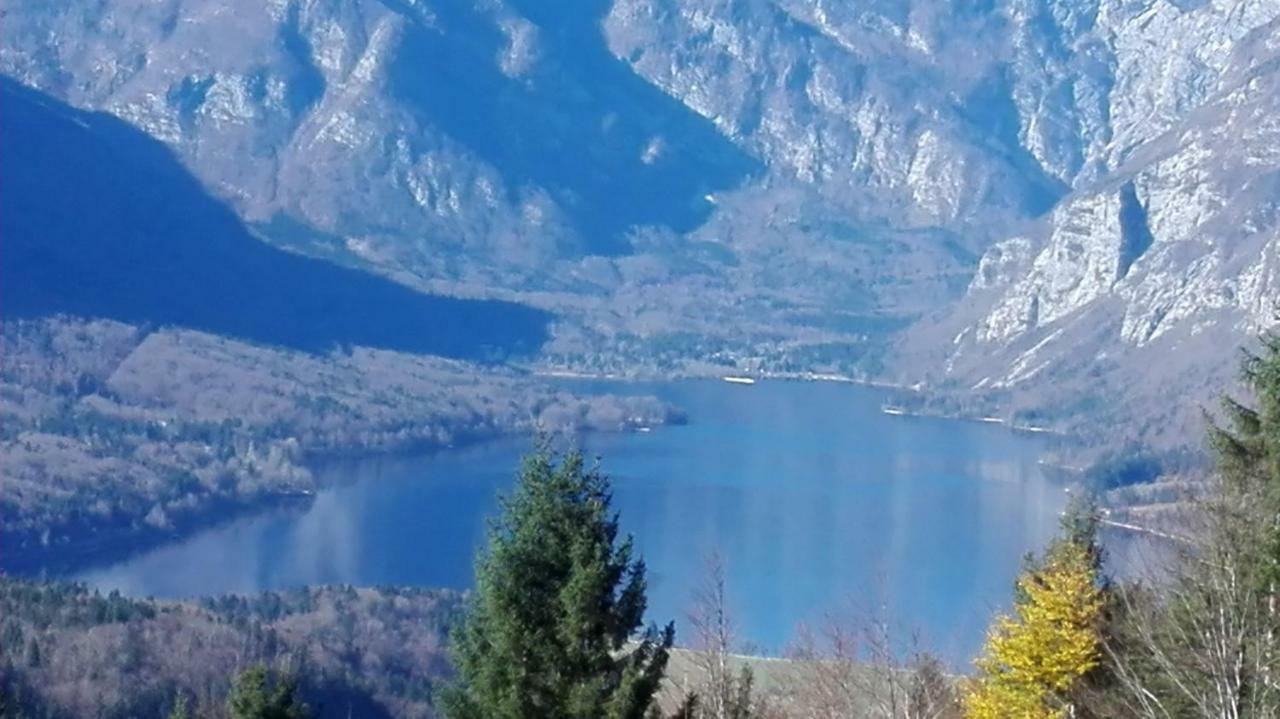 Apartmaji Korosec Na Koprivniku Lejlighed Koprivnik v Bohinju Eksteriør billede